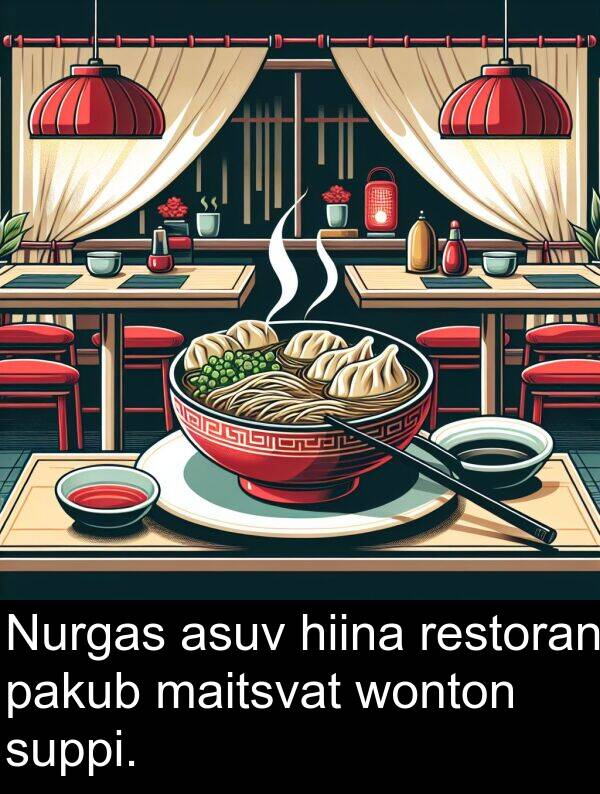 wonton: Nurgas asuv hiina restoran pakub maitsvat wonton suppi.