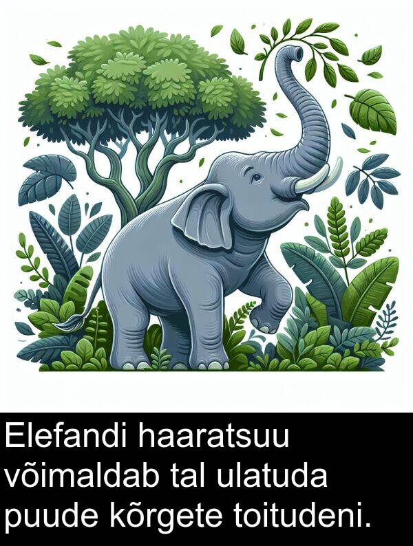 haaratsuu: Elefandi haaratsuu võimaldab tal ulatuda puude kõrgete toitudeni.
