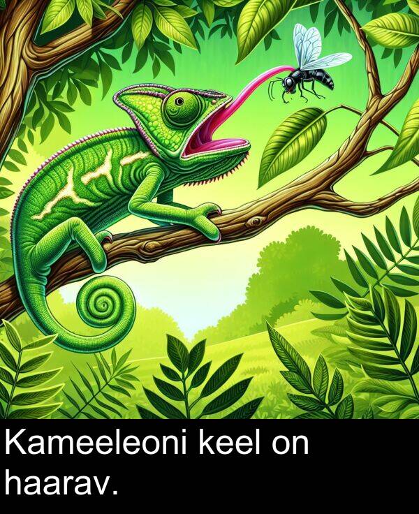 haarav: Kameeleoni keel on haarav.
