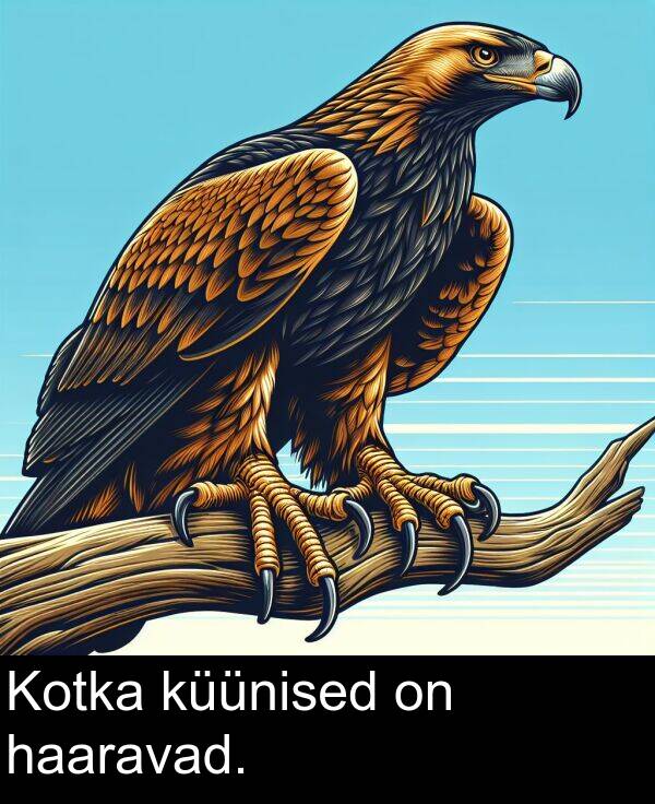 haaravad: Kotka küünised on haaravad.