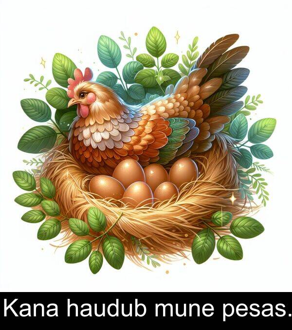 mune: Kana haudub mune pesas.