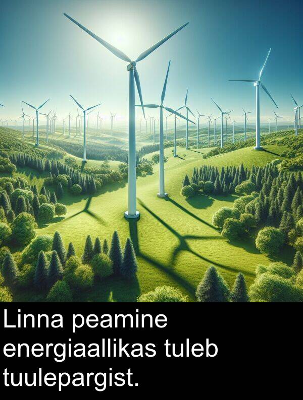 tuleb: Linna peamine energiaallikas tuleb tuulepargist.