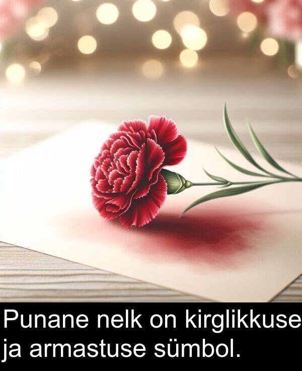sümbol: Punane nelk on kirglikkuse ja armastuse sümbol.