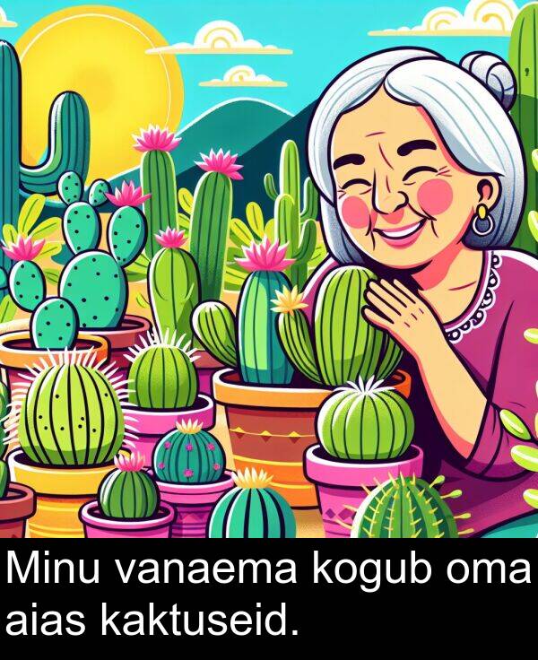 kogub: Minu vanaema kogub oma aias kaktuseid.