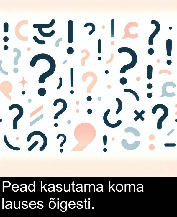 koma: Pead kasutama koma lauses õigesti.