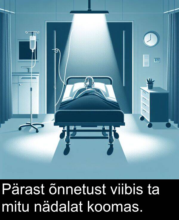 mitu: Pärast õnnetust viibis ta mitu nädalat koomas.