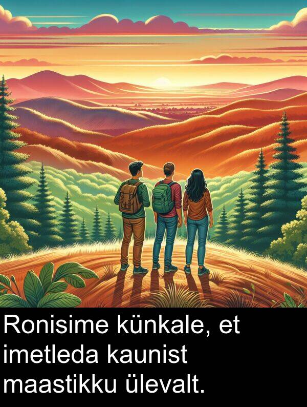 künkale: Ronisime künkale, et imetleda kaunist maastikku ülevalt.