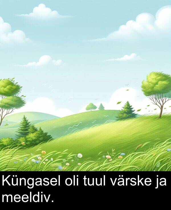 tuul: Küngasel oli tuul värske ja meeldiv.