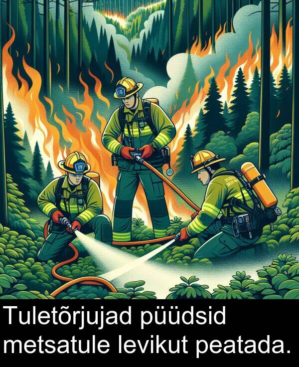 metsatule: Tuletõrjujad püüdsid metsatule levikut peatada.