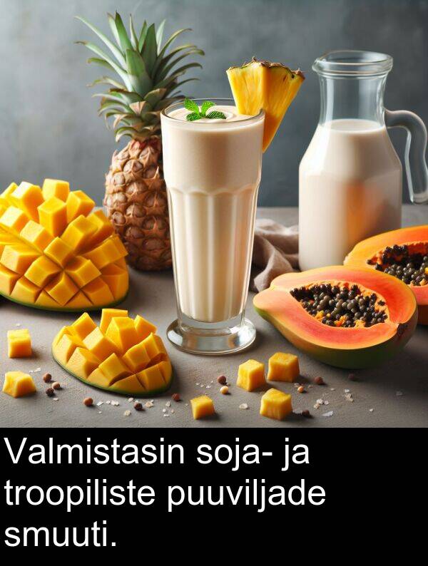 soja: Valmistasin soja- ja troopiliste puuviljade smuuti.