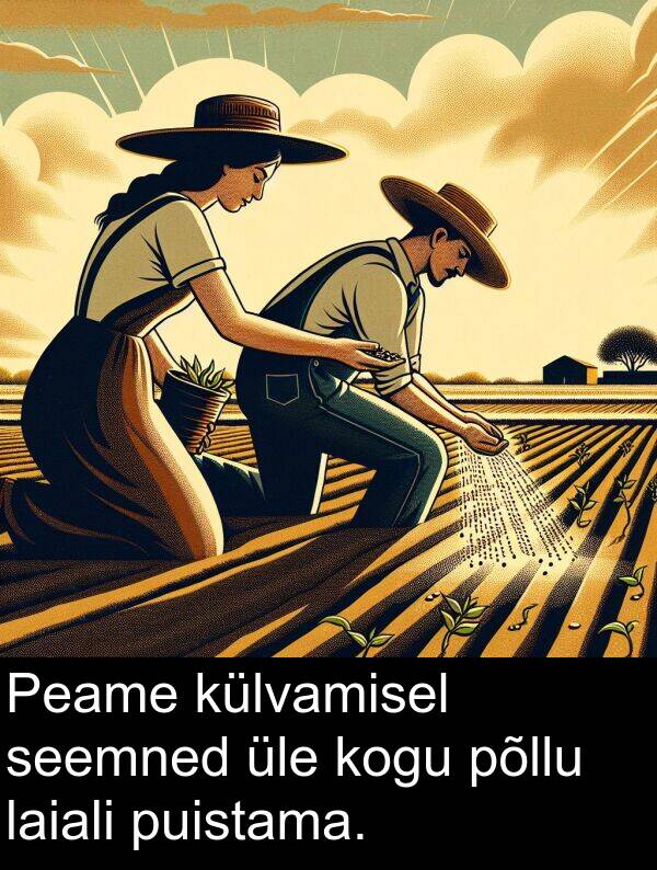 külvamisel: Peame külvamisel seemned üle kogu põllu laiali puistama.