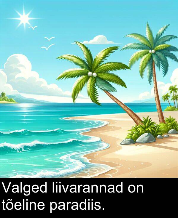 liivarannad: Valged liivarannad on tõeline paradiis.