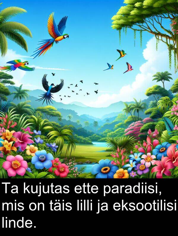 ette: Ta kujutas ette paradiisi, mis on täis lilli ja eksootilisi linde.