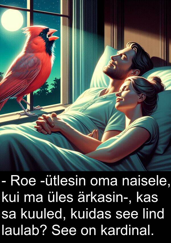 kuidas: - Roe -ütlesin oma naisele, kui ma üles ärkasin-, kas sa kuuled, kuidas see lind laulab? See on kardinal.