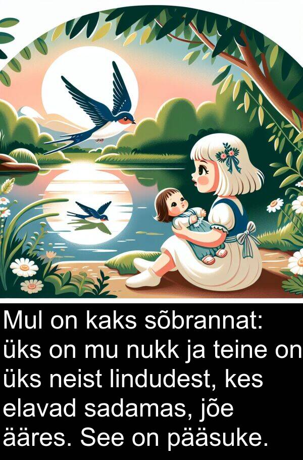 lindudest: Mul on kaks sõbrannat: üks on mu nukk ja teine on üks neist lindudest, kes elavad sadamas, jõe ääres. See on pääsuke.