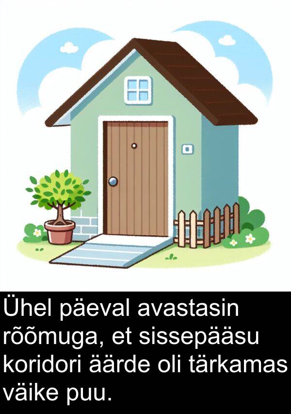 väike: Ühel päeval avastasin rõõmuga, et sissepääsu koridori äärde oli tärkamas väike puu.