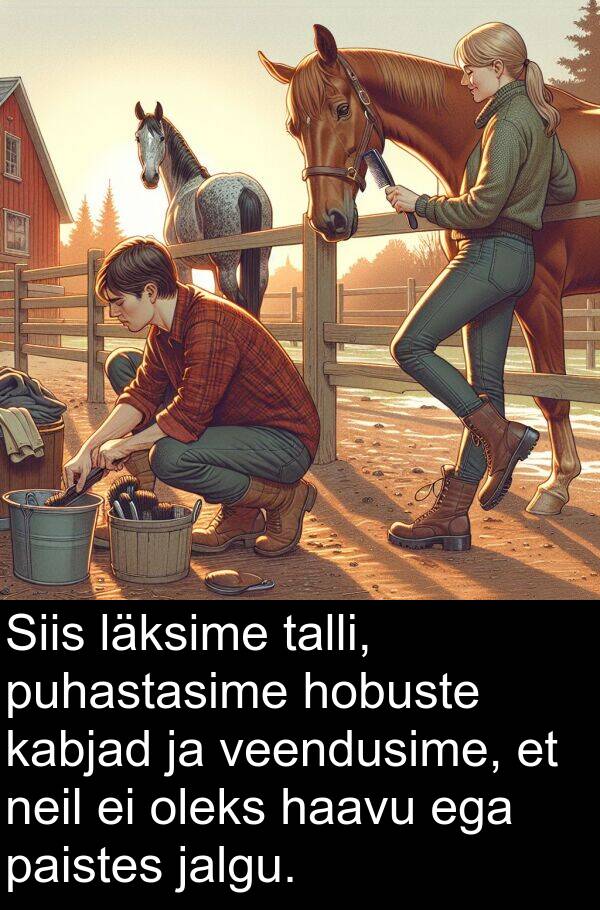puhastasime: Siis läksime talli, puhastasime hobuste kabjad ja veendusime, et neil ei oleks haavu ega paistes jalgu.