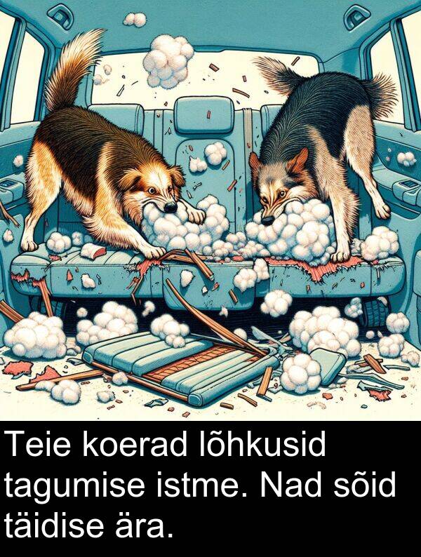 tagumise: Teie koerad lõhkusid tagumise istme. Nad sõid täidise ära.