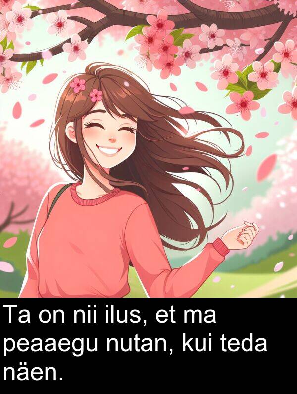 kui: Ta on nii ilus, et ma peaaegu nutan, kui teda näen.