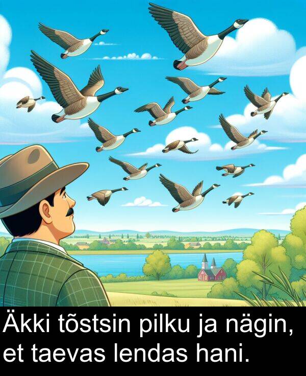 pilku: Äkki tõstsin pilku ja nägin, et taevas lendas hani.