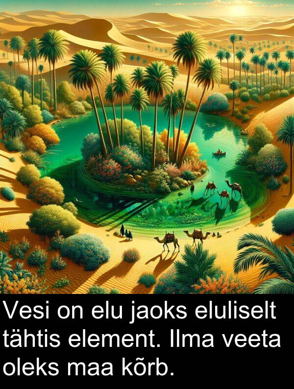 element: Vesi on elu jaoks eluliselt tähtis element. Ilma veeta oleks maa kõrb.