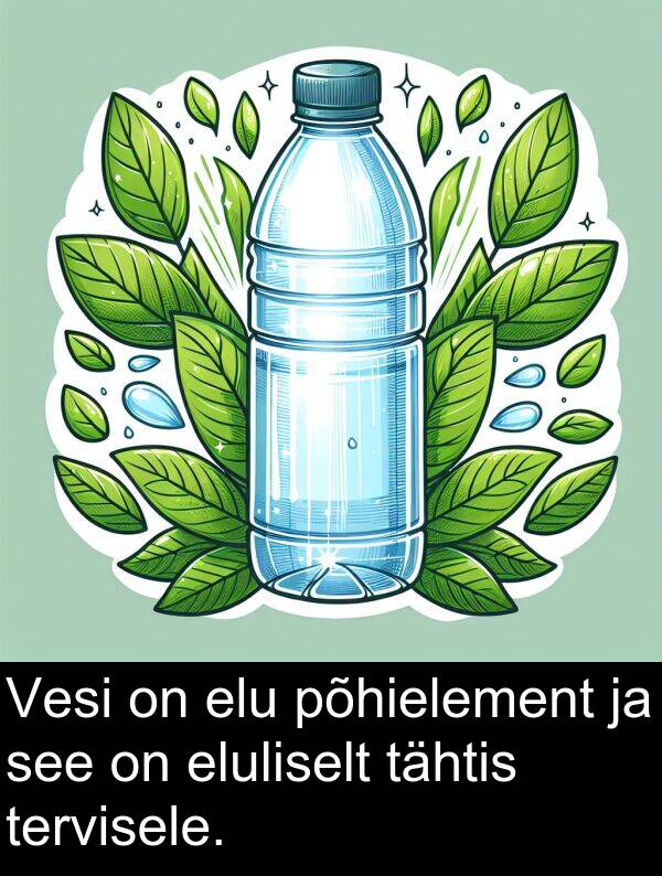 elu: Vesi on elu põhielement ja see on eluliselt tähtis tervisele.