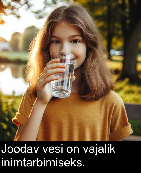 vesi: Joodav vesi on vajalik inimtarbimiseks.