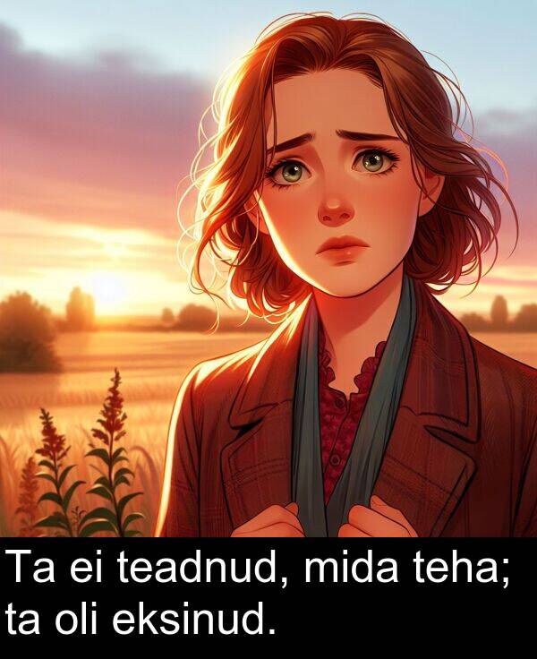 mida: Ta ei teadnud, mida teha; ta oli eksinud.