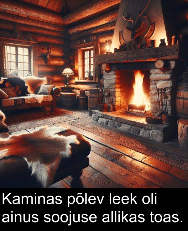 soojuse: Kaminas põlev leek oli ainus soojuse allikas toas.