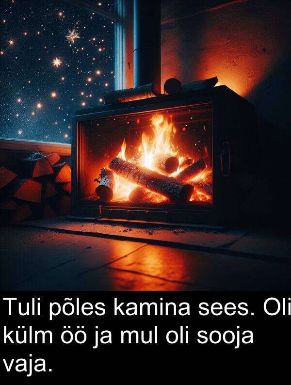 põles: Tuli põles kamina sees. Oli külm öö ja mul oli sooja vaja.