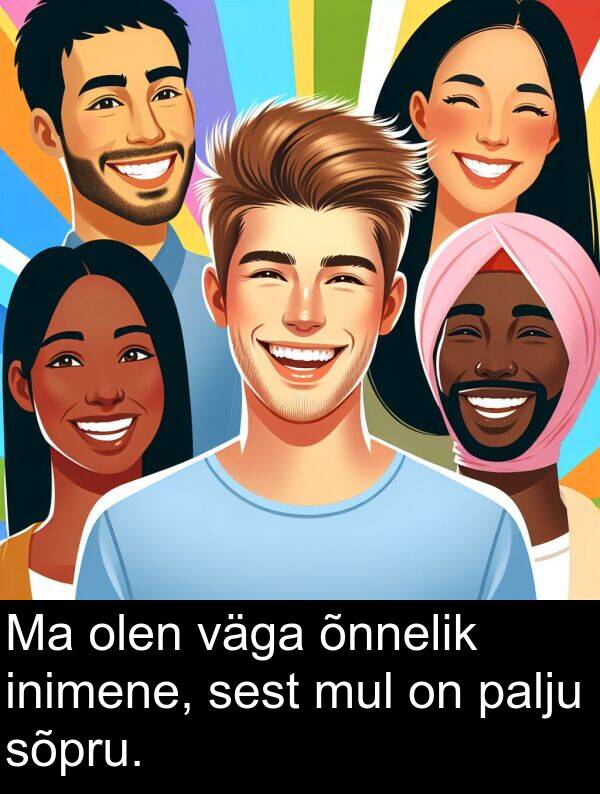 mul: Ma olen väga õnnelik inimene, sest mul on palju sõpru.