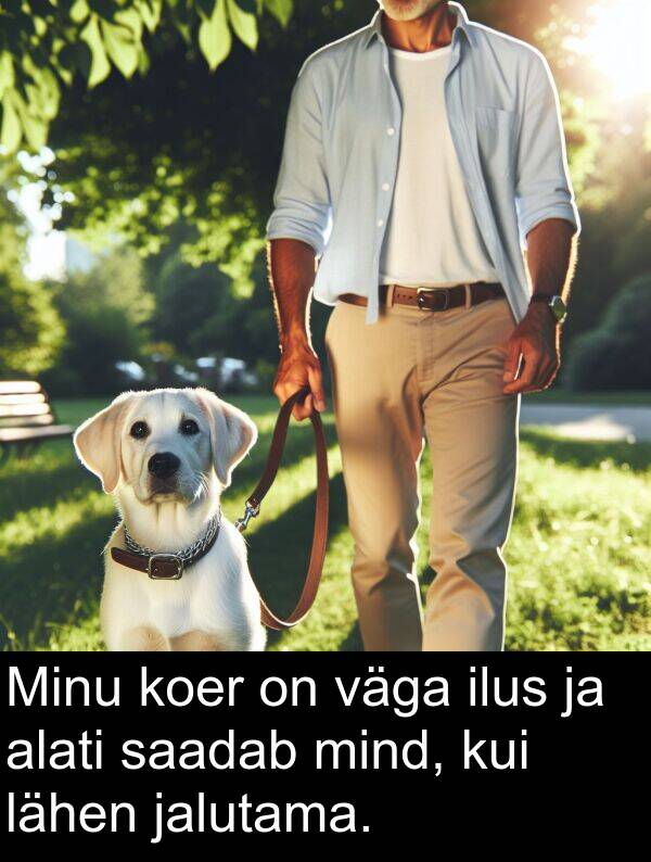 lähen: Minu koer on väga ilus ja alati saadab mind, kui lähen jalutama.