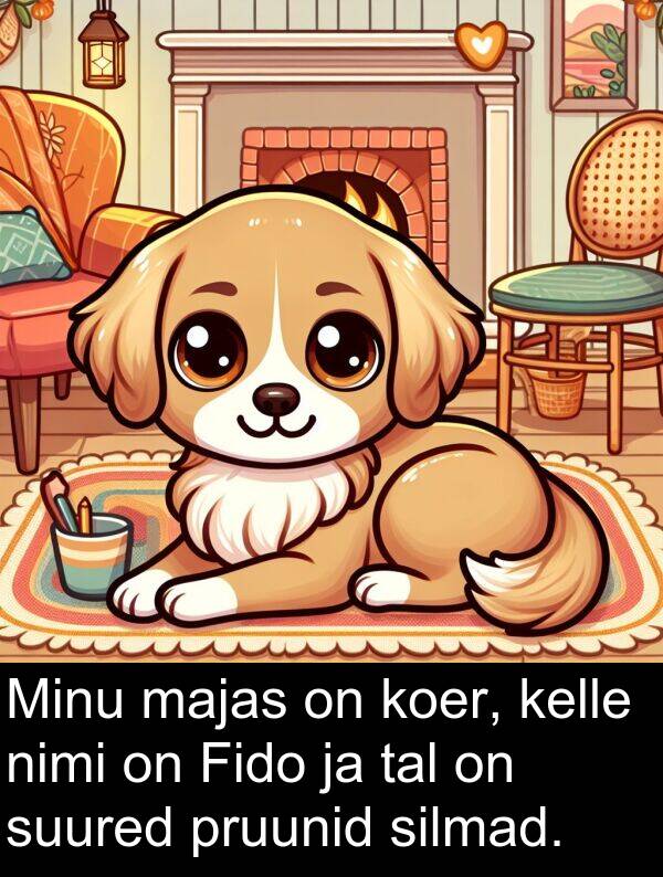 pruunid: Minu majas on koer, kelle nimi on Fido ja tal on suured pruunid silmad.
