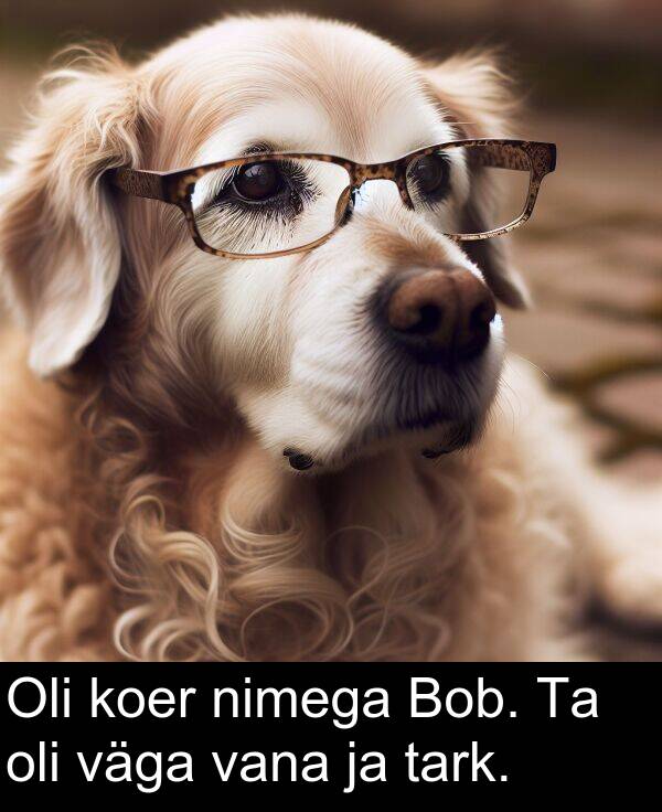 koer: Oli koer nimega Bob. Ta oli väga vana ja tark.