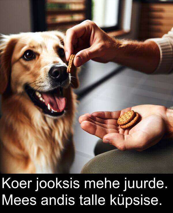 juurde: Koer jooksis mehe juurde. Mees andis talle küpsise.