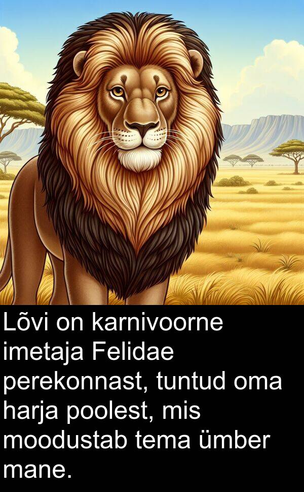 moodustab: Lõvi on karnivoorne imetaja Felidae perekonnast, tuntud oma harja poolest, mis moodustab tema ümber mane.
