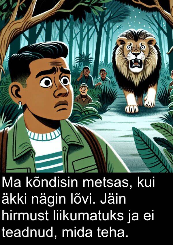 lõvi: Ma kõndisin metsas, kui äkki nägin lõvi. Jäin hirmust liikumatuks ja ei teadnud, mida teha.