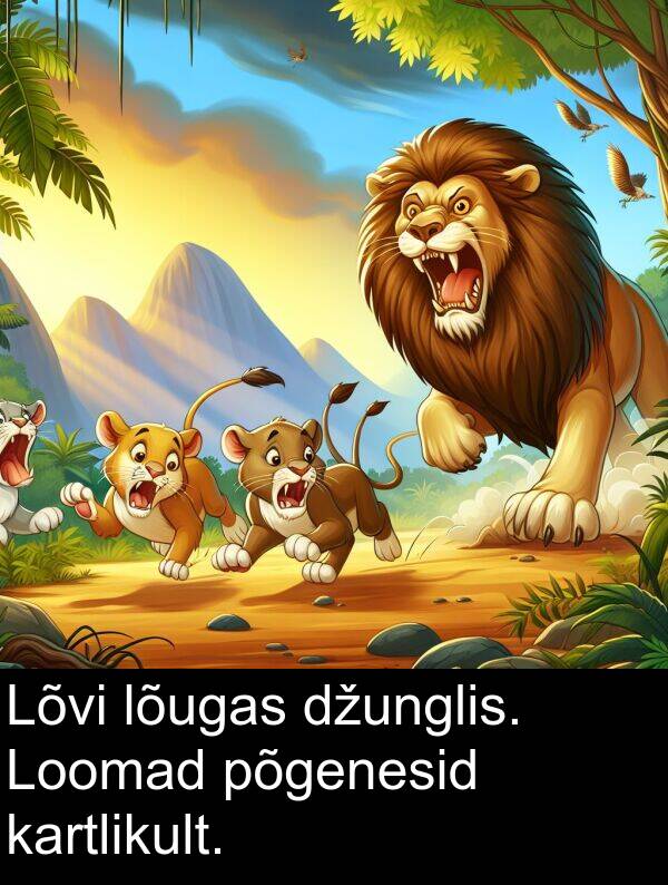 džunglis: Lõvi lõugas džunglis. Loomad põgenesid kartlikult.