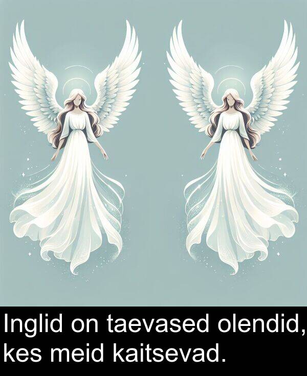 taevased: Inglid on taevased olendid, kes meid kaitsevad.
