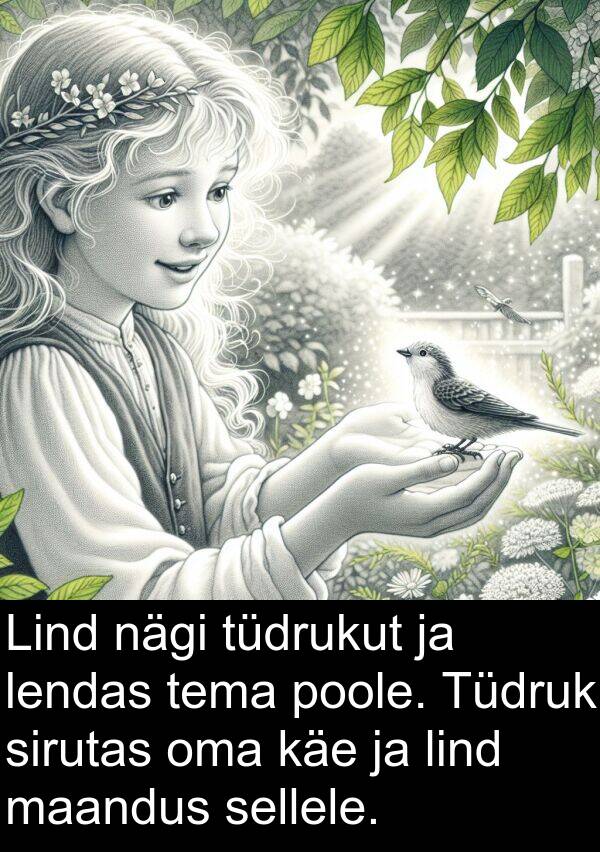 käe: Lind nägi tüdrukut ja lendas tema poole. Tüdruk sirutas oma käe ja lind maandus sellele.