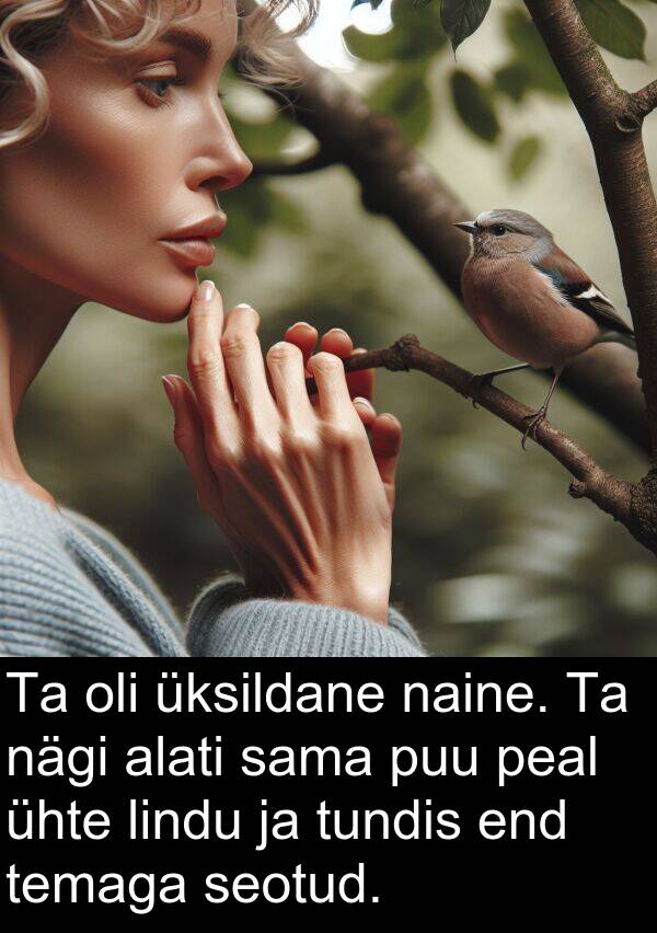 tundis: Ta oli üksildane naine. Ta nägi alati sama puu peal ühte lindu ja tundis end temaga seotud.