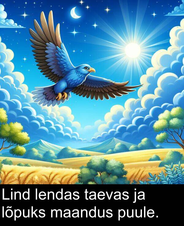 puule: Lind lendas taevas ja lõpuks maandus puule.