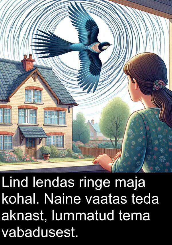 kohal: Lind lendas ringe maja kohal. Naine vaatas teda aknast, lummatud tema vabadusest.