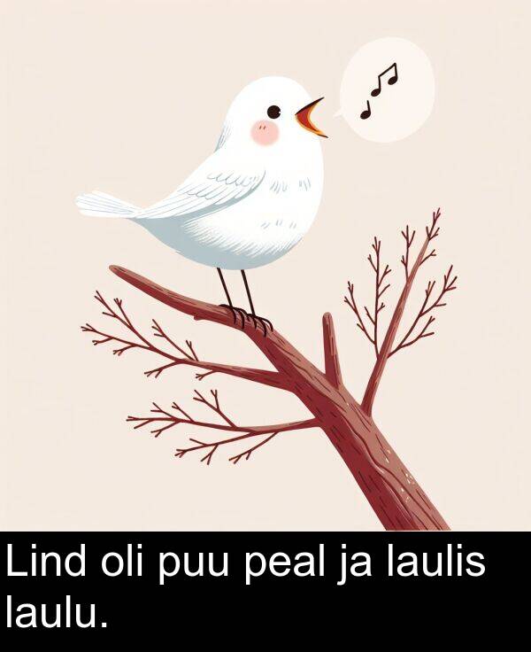 puu: Lind oli puu peal ja laulis laulu.