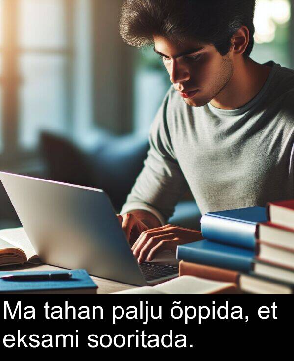 sooritada: Ma tahan palju õppida, et eksami sooritada.