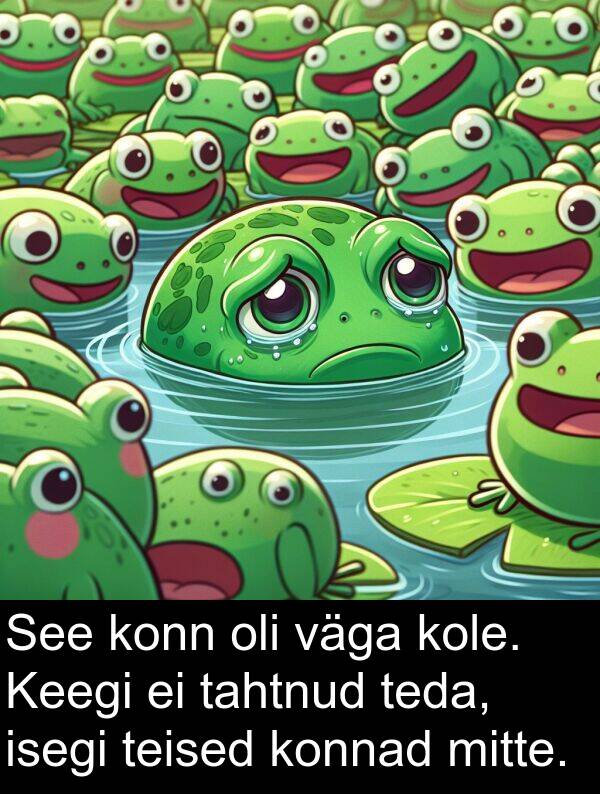 konnad: See konn oli väga kole. Keegi ei tahtnud teda, isegi teised konnad mitte.