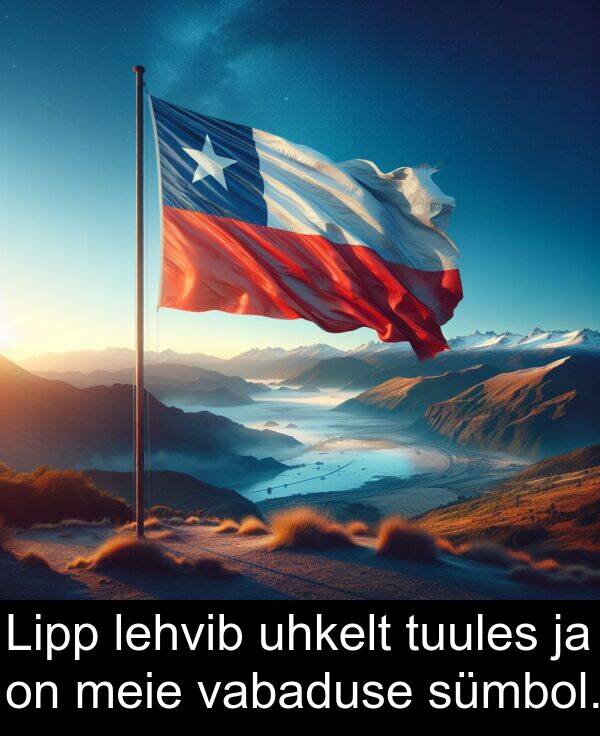 tuules: Lipp lehvib uhkelt tuules ja on meie vabaduse sümbol.