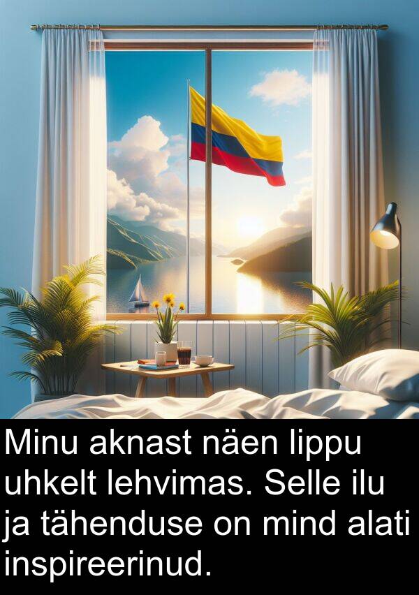 inspireerinud: Minu aknast näen lippu uhkelt lehvimas. Selle ilu ja tähenduse on mind alati inspireerinud.