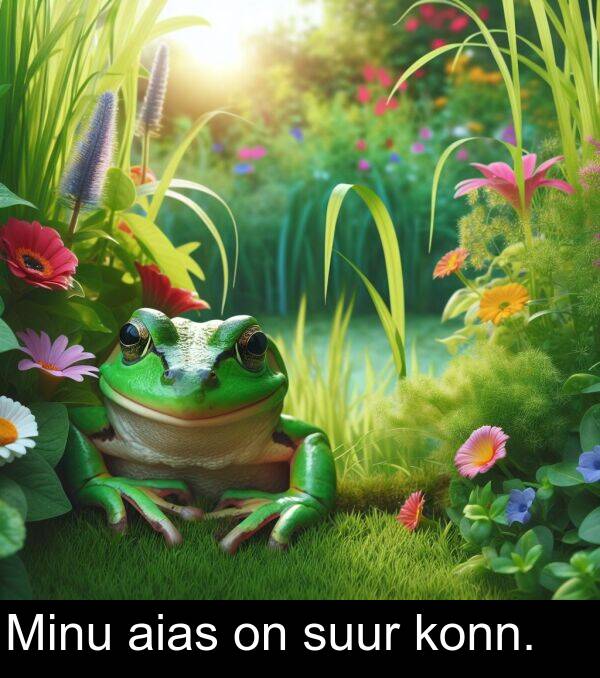suur: Minu aias on suur konn.