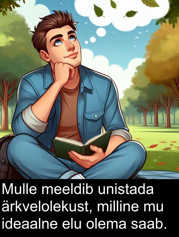 milline: Mulle meeldib unistada ärkvelolekust, milline mu ideaalne elu olema saab.
